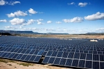 Xây dựng cơ chế hỗ trợ phát triển năng lượng tái tạo trong lưới điện quốc gia