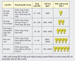 Các biện pháp tiết kiệm năng lượng