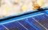 Mitsubishi to invest in US solar co Nexamp