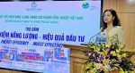 Giải pháp tài chính cho các dự án tiết kiệm năng lượng